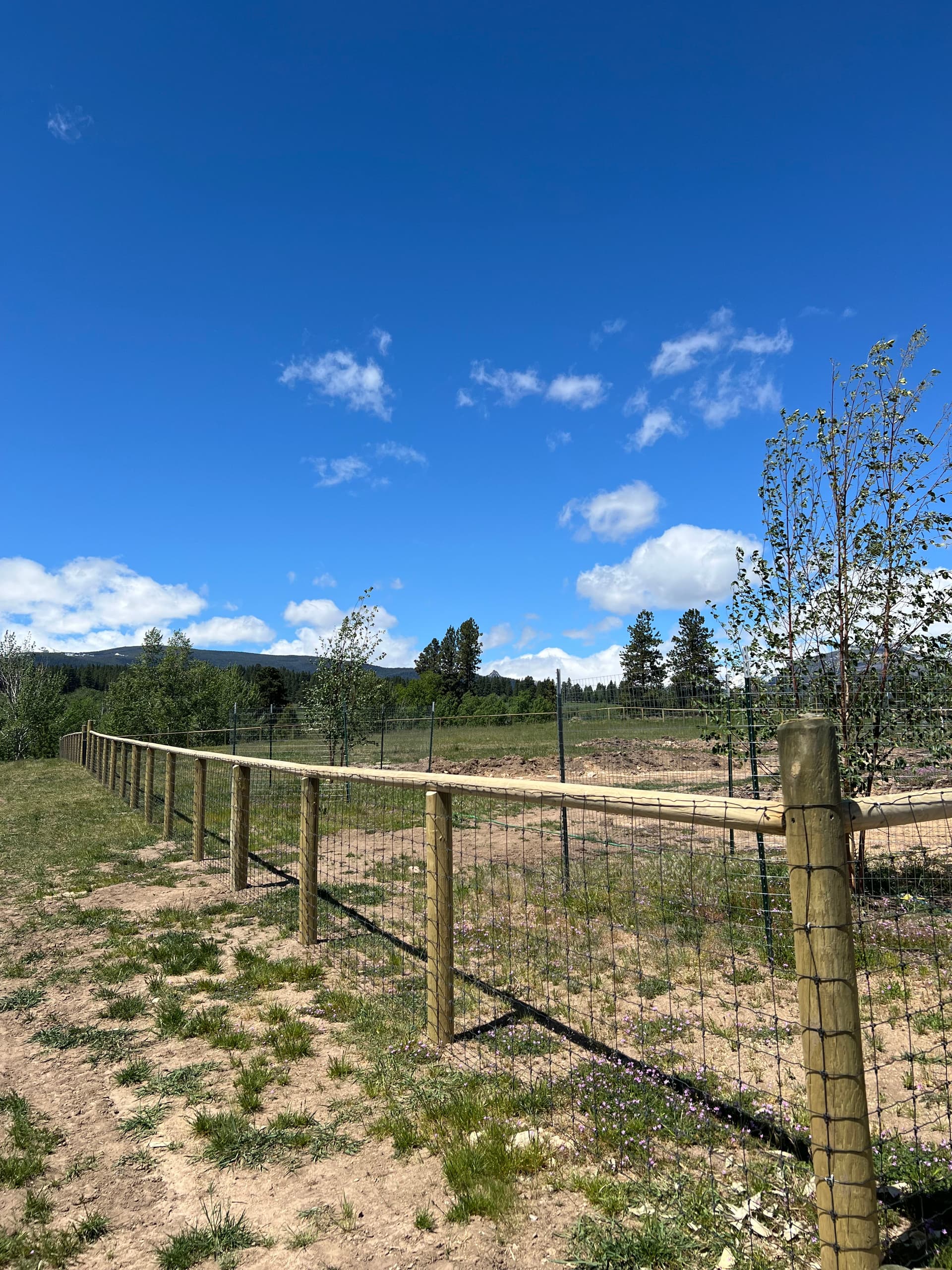 Gallery photos for Wood Post and Rail Fence with Field Fence Done Right: Image #1