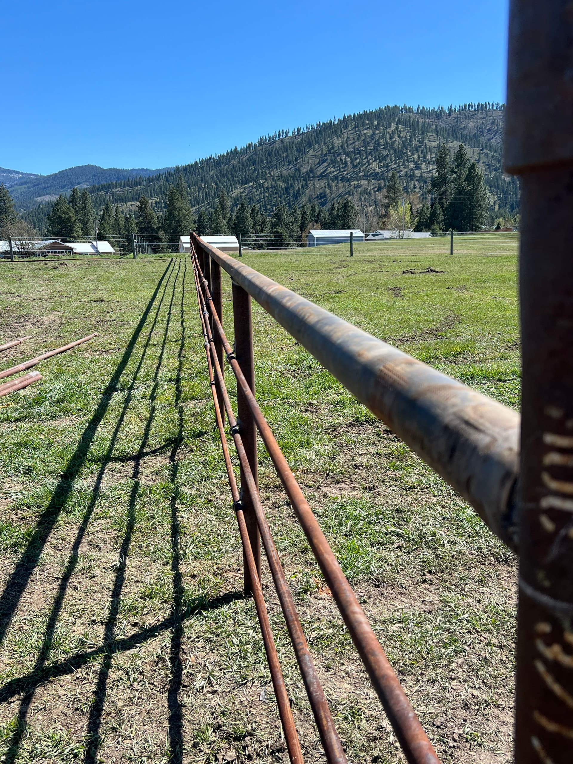 Gallery photos for Metal Pipe Fence Built Straight, Strong, and Made to Last: Image #2
