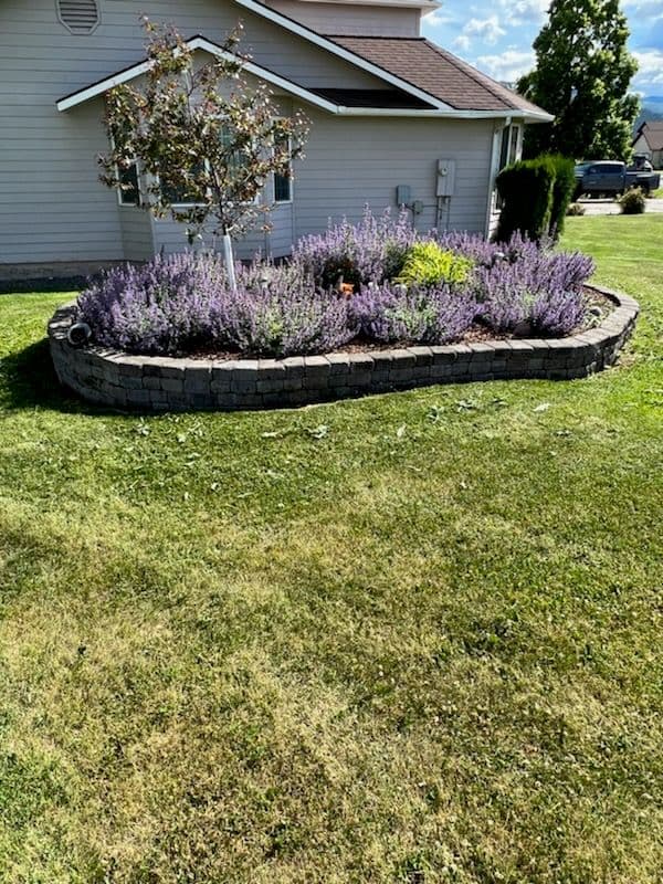 Transform Your Yard with Gorgeous Hardscaping