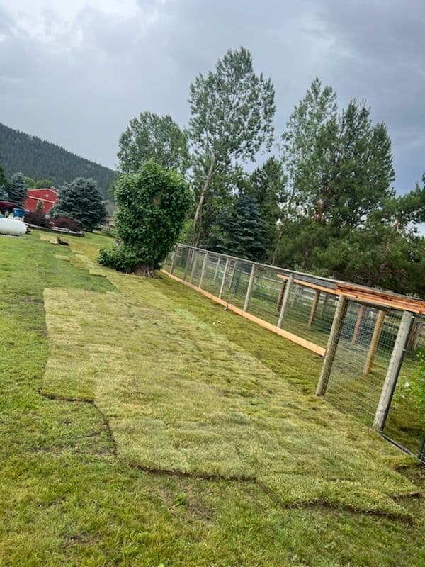 Transform Your Yard with Lush Sod Installation image