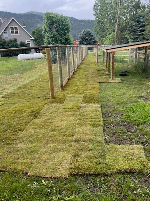 Gallery photos for Transform Your Yard with Lush Sod Installation: Image #1